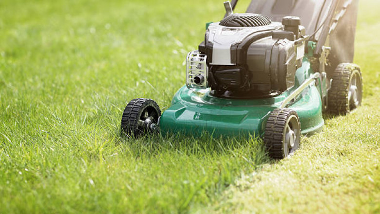 The Rise of Eco-Conscious Consumerism in the Latin America Lawn Care Products Market