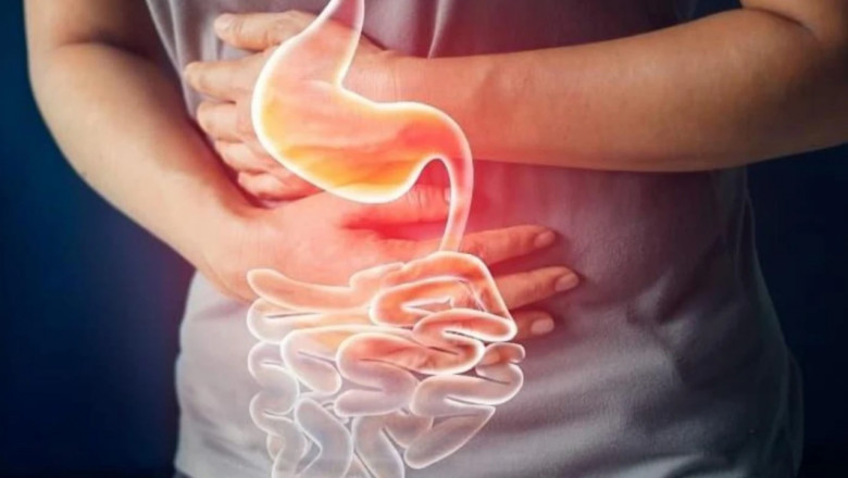 Diabetic Gastroparesis Treatment Market: Dynamic Shifts and Innovations Shaping Future Care