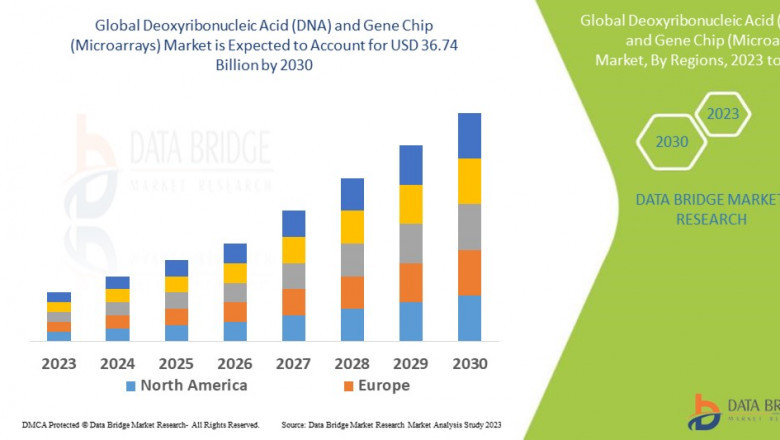 DNA and Gene Chip Market Grows with Advancements in Precision Medicine and Genomic Research