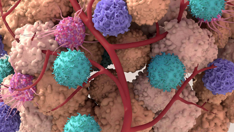 Global Kras Inhibitors Market to Surge with Covalent Inhibitor Innovation