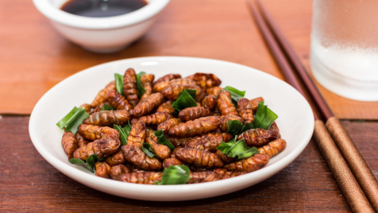 Insect Protein Market Intelligence-Strategic Insights