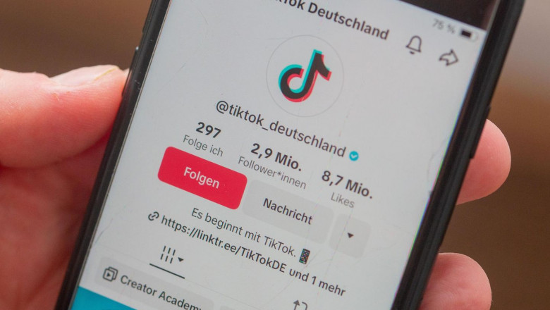 TikTok Follower kaufen – Schweiz-Edition: Socialwizard im Test