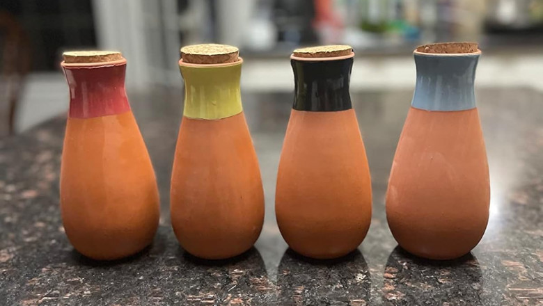Vacation-Proof Your Plants with Smartiliving’s Self-Watering Ollas