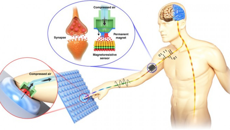 Beyond Touchscreens: Exploring Novel HMI Applications of Tactile Sensors in Italy Industrial Settings