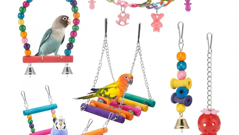 Bird Toys Market Trends: PEST Analysis and Identifying the Growing Region
