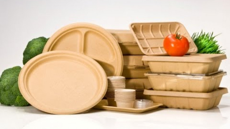 Exploring Emerging Opportunities in the Foodservice Disposable Market