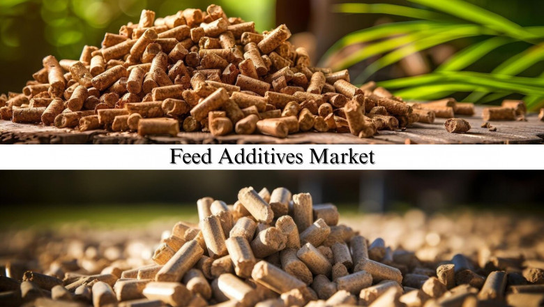 Feed Additives Market Size, Share, Future Scope and Industry Trends Through 2032