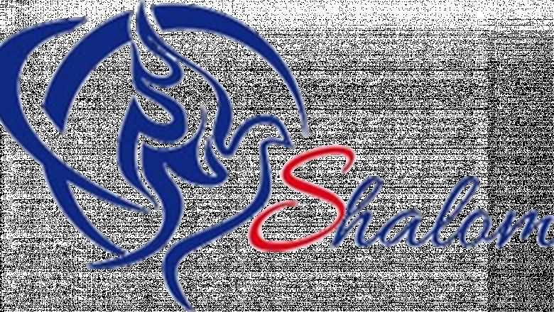 Glass company in Lucknow | Shalom Enterprises Glass