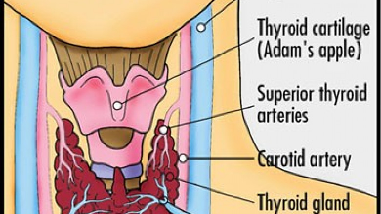 Hypothyroidism and Hashimoto’s Disease: Homeopathic and Acupuncture Treatment