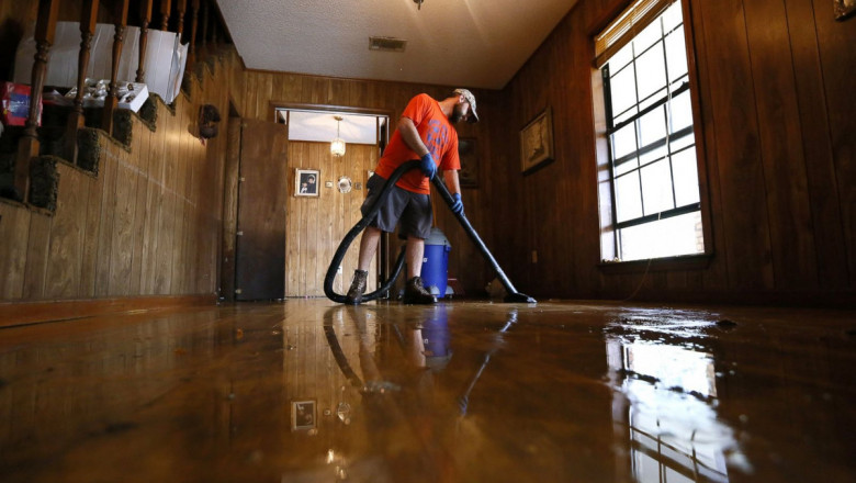 Professional Water Damage Restoration Services: Why They Matter More Than You Think