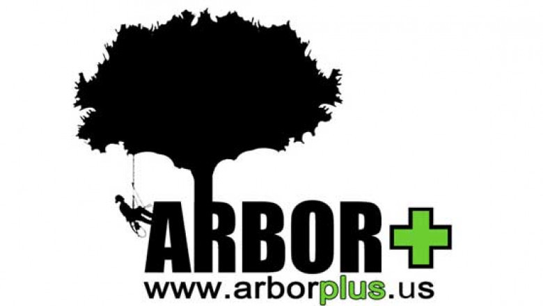 Say Goodbye to Tripping Hazards with Expert Stump Removal Service Near Me