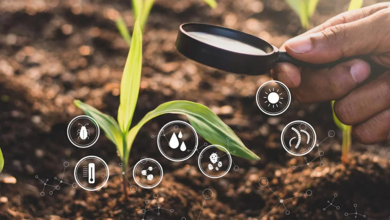 Why Sustainable Agriculture & Carbon Removal Matter Now