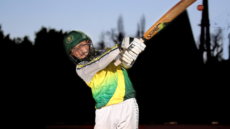 Batting Average Calculator