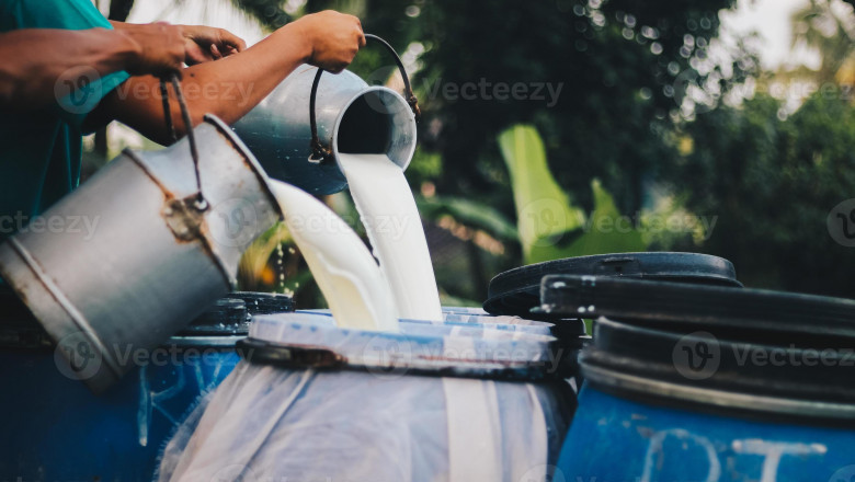 Dairy Container Market Trends Show Growth through Biodegradable Packaging and Custom Branding Strategies