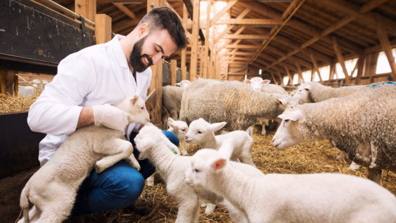 Feed and Livestock Services in India – Enpro Feeds