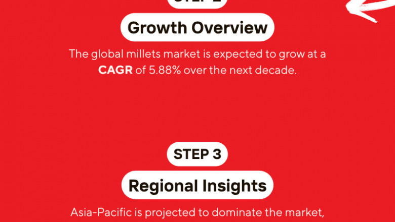 Global Millets Market Insights 2025-2033| Growth & Opportunity Analysis