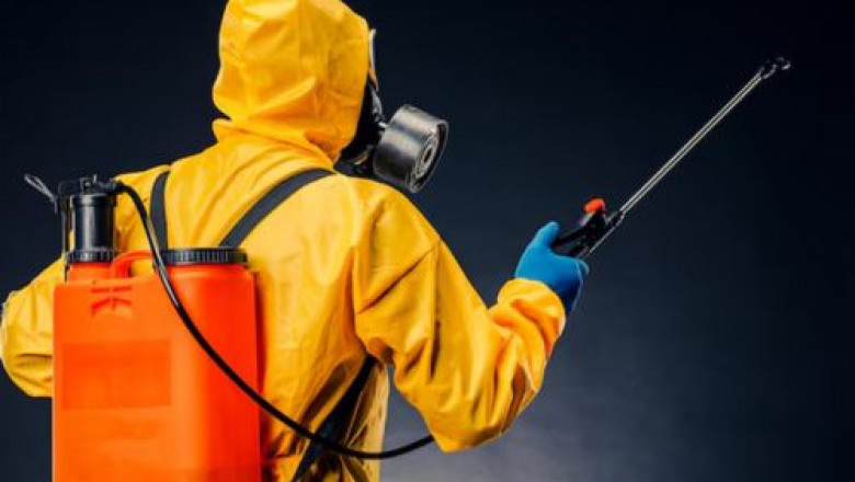 How Do I Choose the Right Spider Treatment Service Provider?