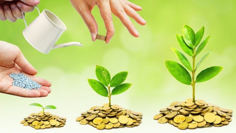 The Wealth Plan That No One Teaches You in School