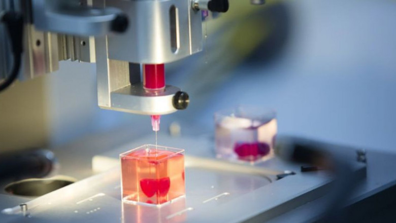 3D Bioprinting Market to Develop New Growth and Opportunities Analysis Story