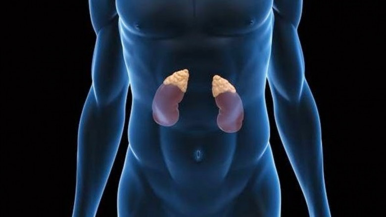 Adrenal Crisis Market Set to Soar on Rising Adrenal Disorder Incidence