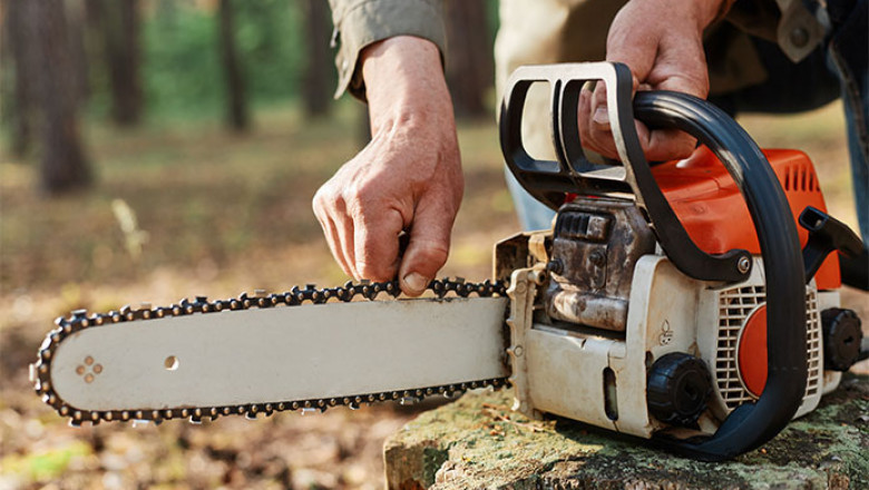 Chainsaw Market Size: Trends, Top Models &amp; Buyer’s Guide