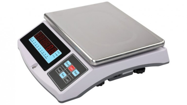 Electronic Weighing Scale Market Intelligence: Key Insights, Trends, and Growth Drivers for 2025