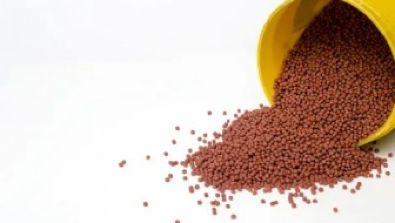 Exploring the Uses, Benefits, and Potential Risks of Ethoxyquin in Various Industries