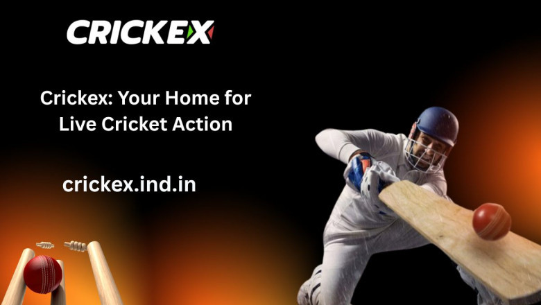 IPL Fever 2025: Experience the Thrill with Crickex