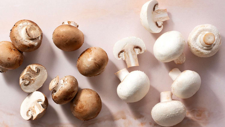 Mushroom Market Forecast Through 2030: Growth Outlook, Regional Trends, and Emerging Segment Opportunities