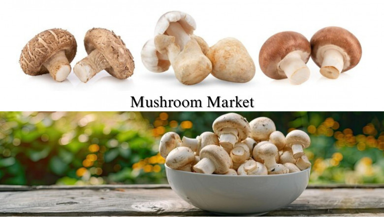 Mushroom Market Size, Share, Research Trends and Opportunities Through 2032