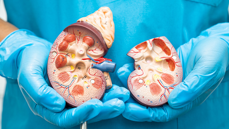Percutaneous Kidney Procedures - Minimally Invasive Treatment - Benefits, Recovery and Impact on Quality of Life