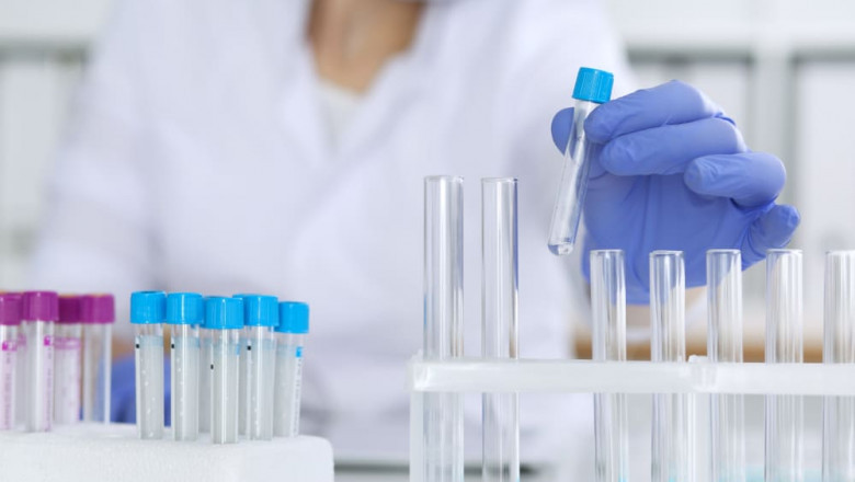 What Your Blood Can Tell You About Your Immune System and Overall Health?
