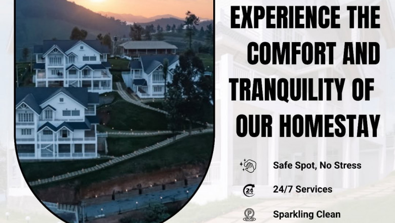 Where Nilgiris' Breeze Converges Budget Bliss: Petals – Couples' Eco-Friendly Cottages