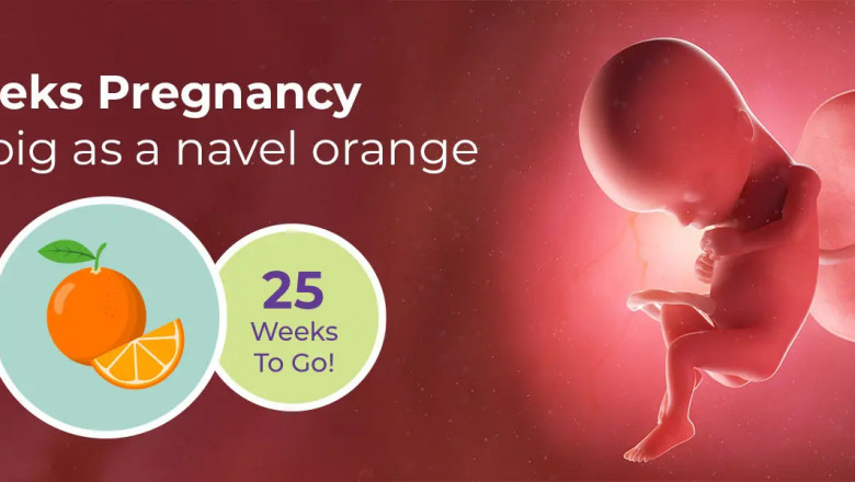 15 Weeks Pregnant Symptoms, Baby Development, Foods to Eat and Tips