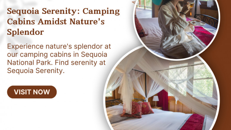 Find Your Perfect Getaway: Quiet Mind Sequoias – The Most Beautiful Resort Near Sequoia National Park