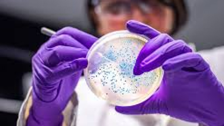 Global Animal Biotechnology: Bridging Science and Livestock Health