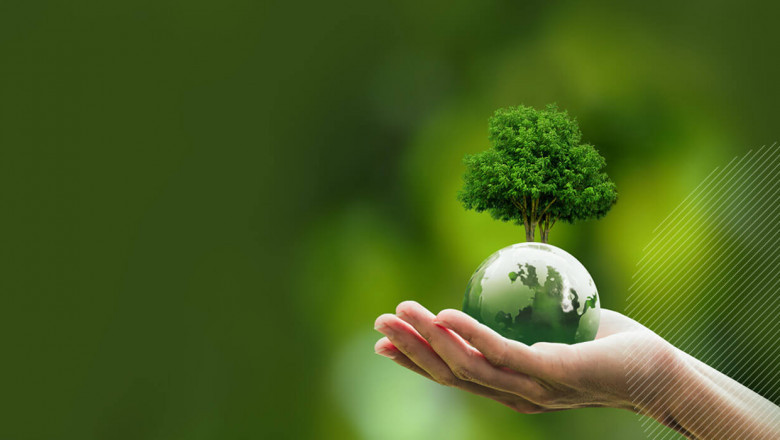Kenya Carbon Credit Market to Surge on Environmental Investments