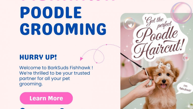 The Best Fishhawk Poodle Grooming Styles and Care Tips