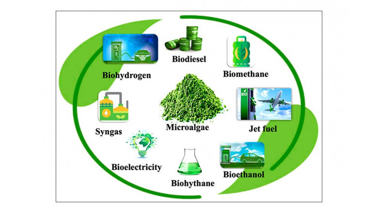Algae Biofuel Market By Type, By Application By Geographic Scope And Forecast 2025-2035