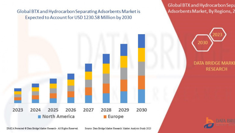 BTX and Hydrocarbon Separating Adsorbents Market Insights and Growth Trends