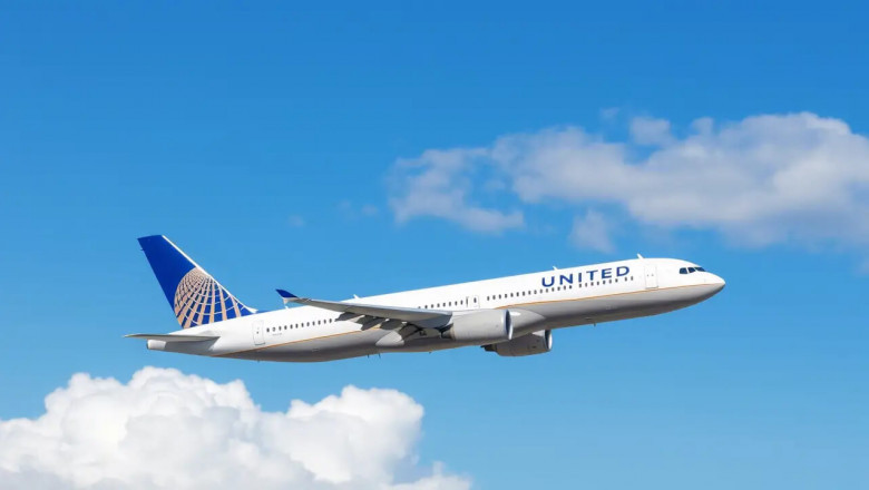 Delta Airlines vs Delta: Which is Best for Seniors?