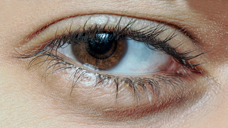 How Aging Affects the Vitreous and Retina