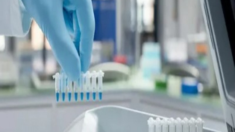Polymerase Chain Reaction Market to Expand via Digital PCR Advancements
