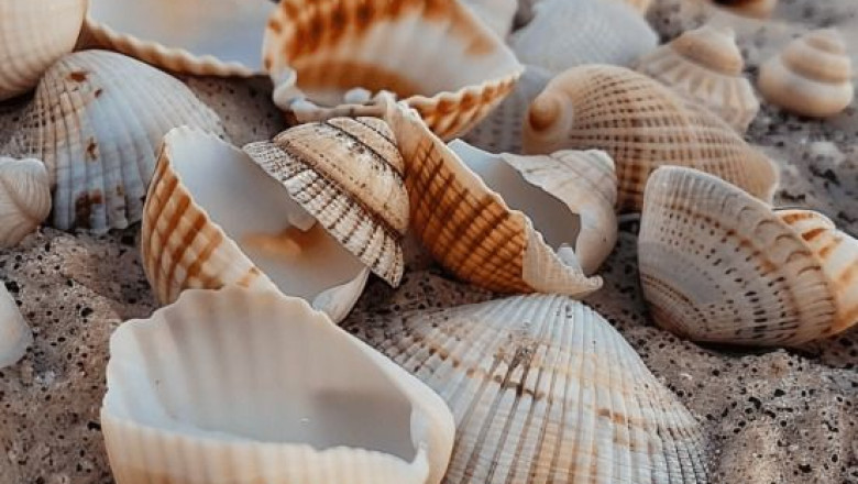 Press Releases vs. Blog Posts: Which is More Effective?