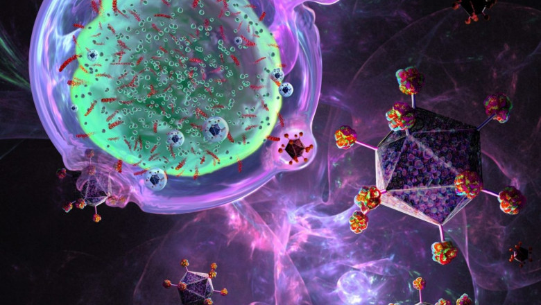 South Korea Car-T Cell Market Estimated to Grow with Gene Editing