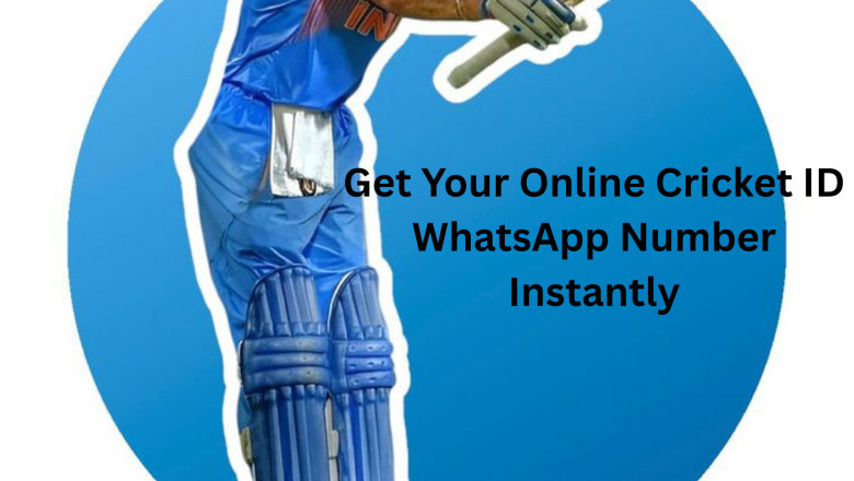 Online Cricket ID WhatsApp Number | Fair Registration Process | 24x7 Customer support