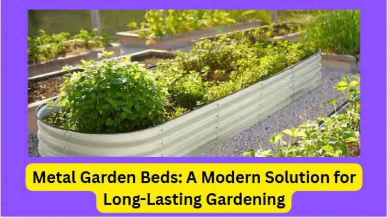 Metal Garden Beds: A Modern Solution for Long-Lasting Gardening