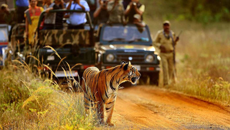 Same Day Ranthambore Tour From Jaipur