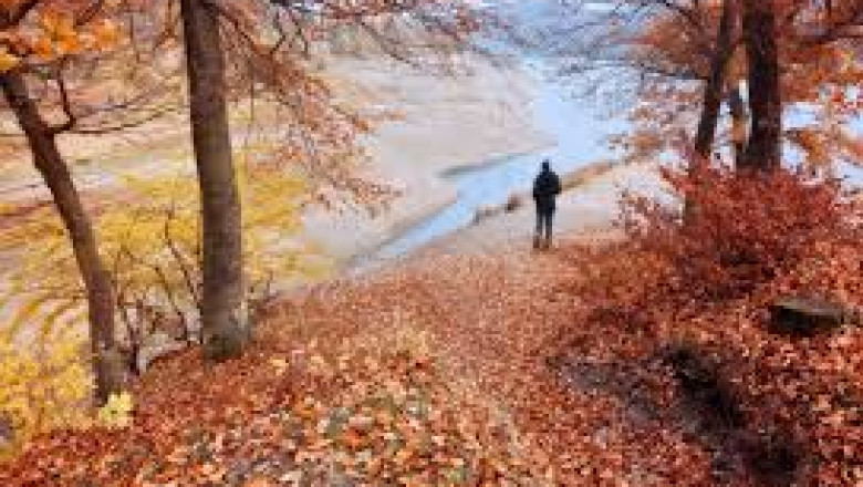 Best Places to See Autumn Foliage in Britain