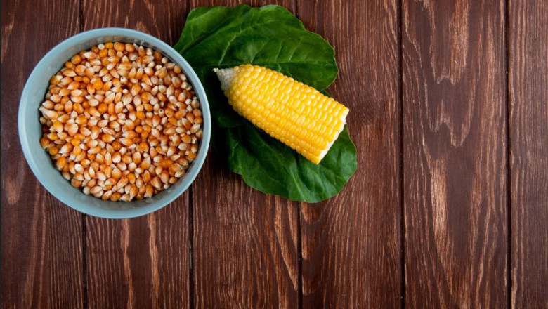Corn Distiller Grain by Enpro Feeds